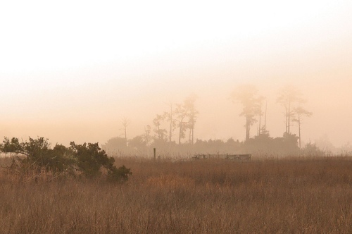 Black Island Creek GA McIntosh County Fog Marsh Photograph Copyright Brian Brown Vanishing Coastal Georgia USA 2015